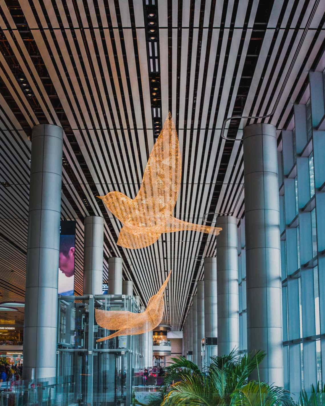 Les Oiseaux (The Birds) by Cedric Le Borgne art installation at Changi Airport’s T4 Departure and Arrival Hall 